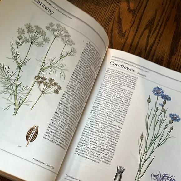 The illustrated book of herbs, their medicinal and culinary uses hard cover - Picture 4 of 14